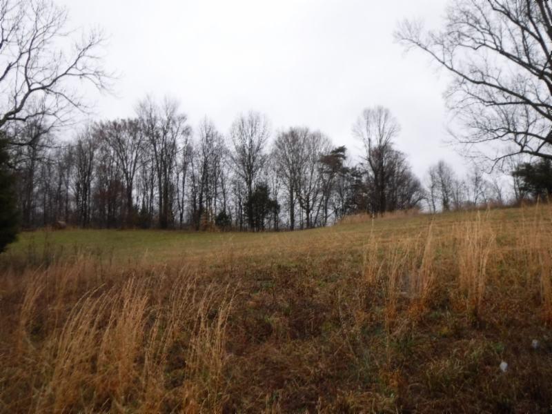 Lot 3 Arrowhead Road Moss, TN 38575 - Photo 1 of 13 DSCF0272