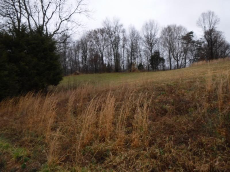 Lot 3 Arrowhead Road Moss, TN 38575 - Photo 3 of 13 DSCF0273