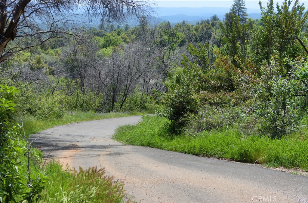 4632 Triangle Road Mariposa, CA 95338 - Photo 19 of 26 a view of a street view