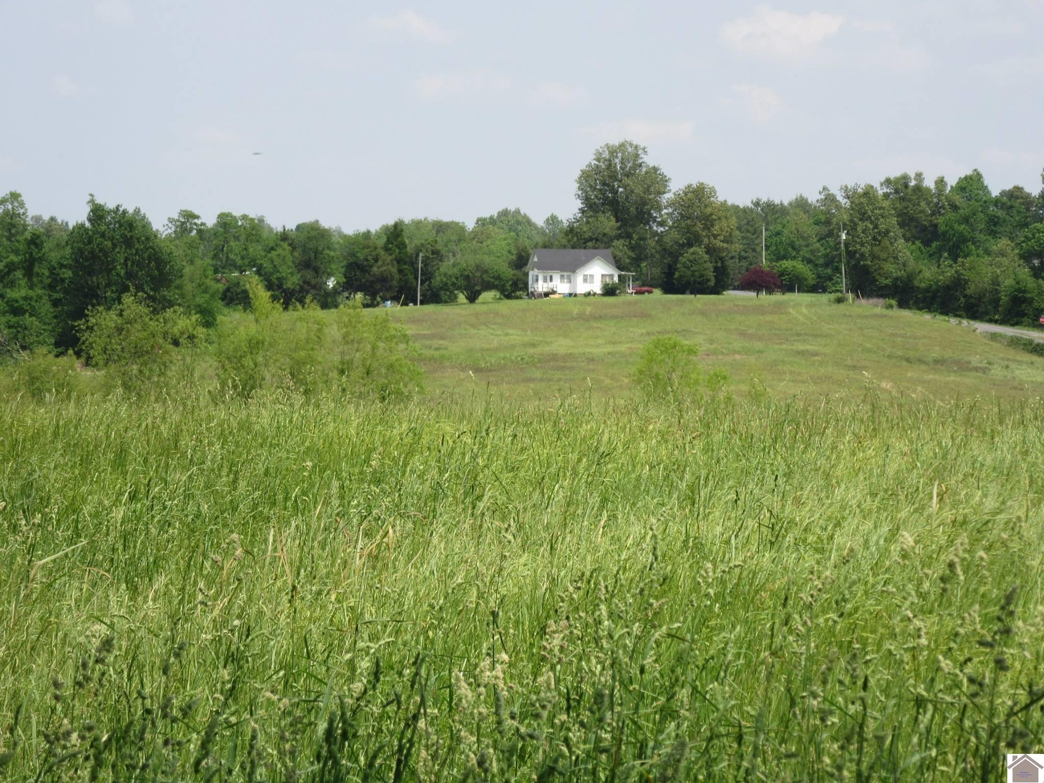 1325 Hopkins Cemetery Road Wingo, KY 42088 - Photo 1 of 1 Photo 1