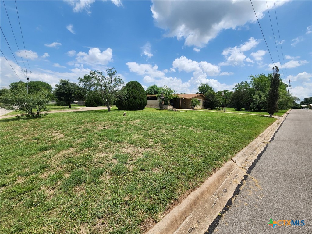 601 North Rhomberg Street Burnet, TX 78611 - Photo 42 of 42 a view of a lush green space