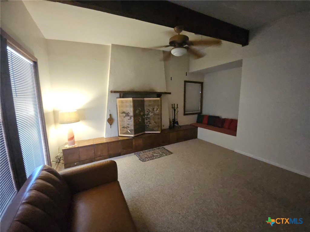 601 North Rhomberg Street Burnet, TX 78611 - Photo 10 of 42 a living room with furniture and a fireplace