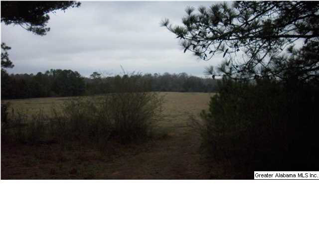Peaceful Valley Road, Unit 38 5 Eastaboga, AL 36260 - Photo 2 of 11