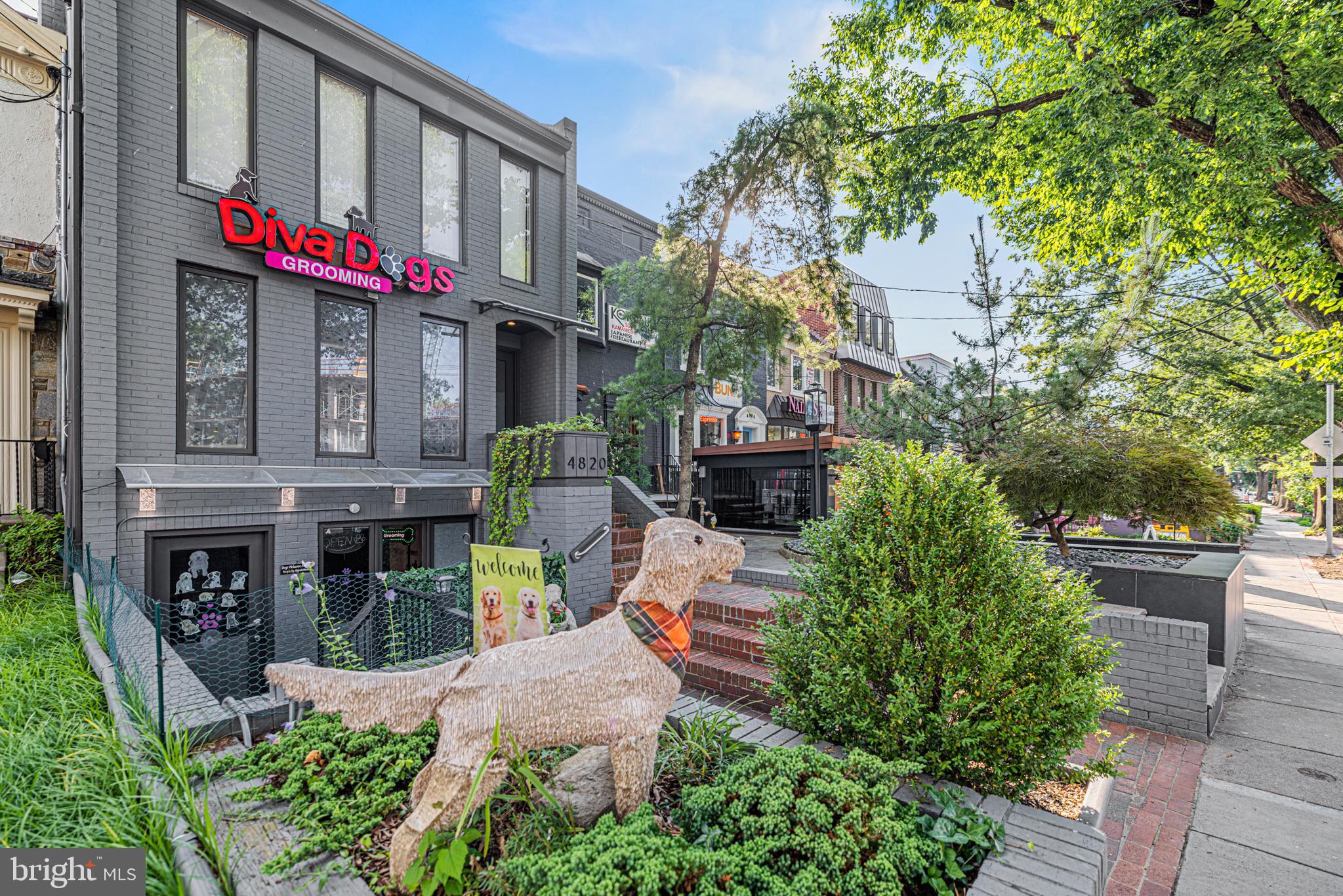 5212 MacArthur Boulevard Northwest Washington, DC 20016 - Photo 57 of 58