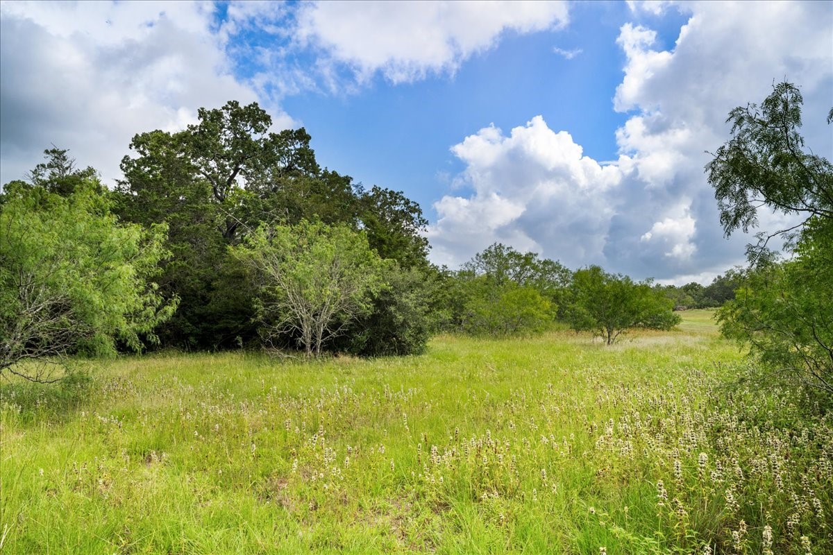 2845 Boehnke Road Muldoon, TX 78949 - Photo 29 of 39