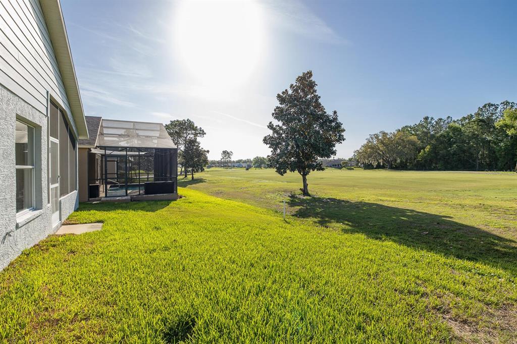 11718 Wheatfield Loop Hudson, FL 34667 - Photo 48 of 88