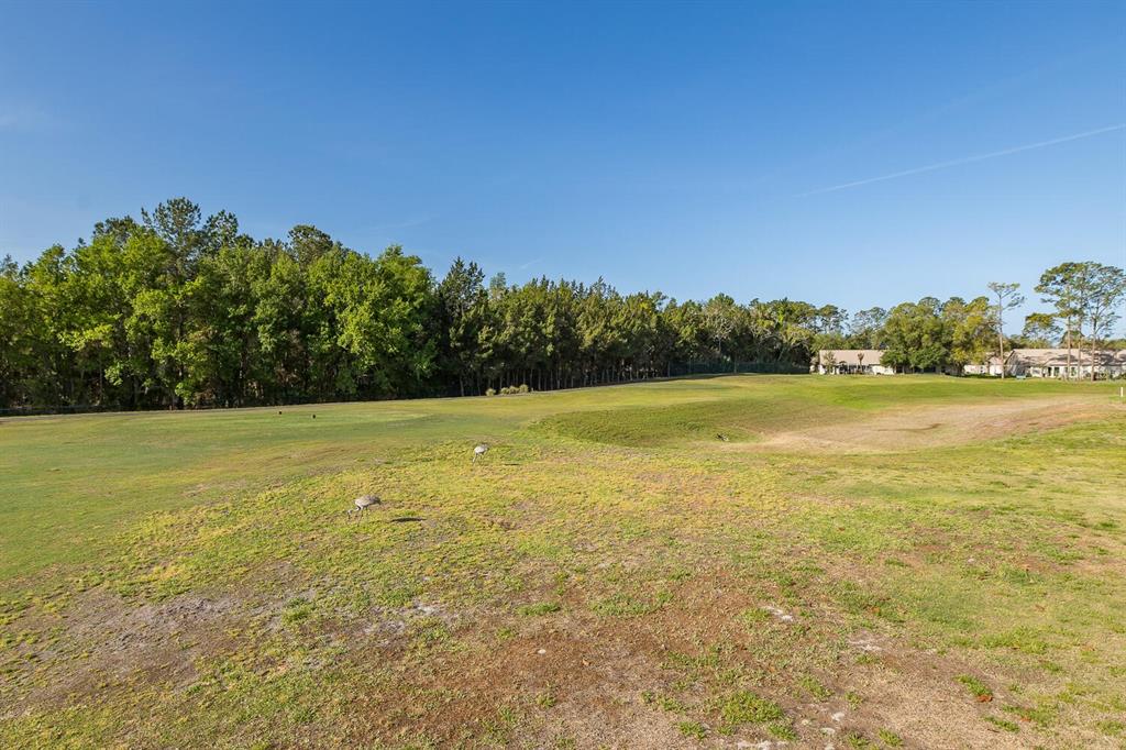 11718 Wheatfield Loop Hudson, FL 34667 - Photo 55 of 88