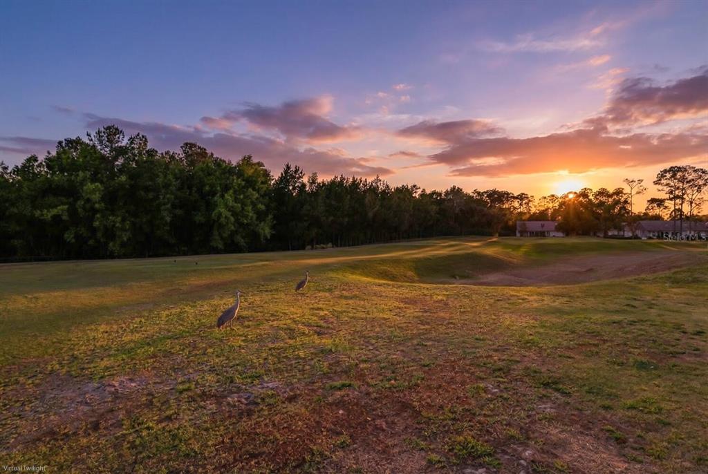 11718 Wheatfield Loop Hudson, FL 34667 - Photo 56 of 88