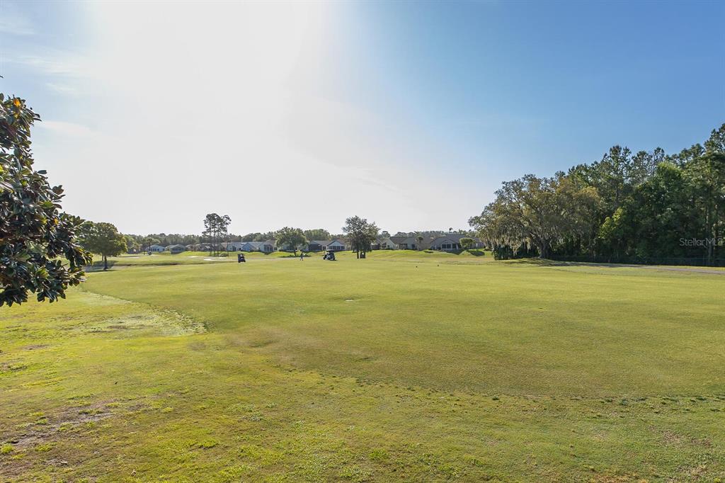 11718 Wheatfield Loop Hudson, FL 34667 - Photo 57 of 88 a view of an ocean from a beach
