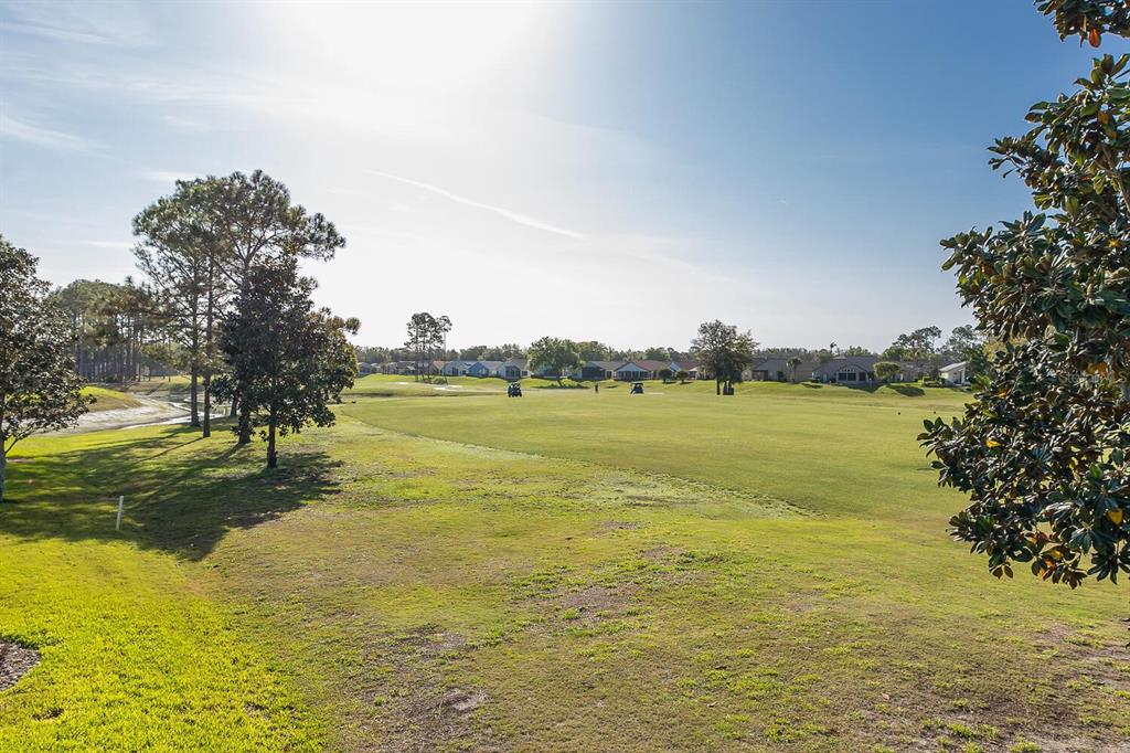 11718 Wheatfield Loop Hudson, FL 34667 - Photo 58 of 88