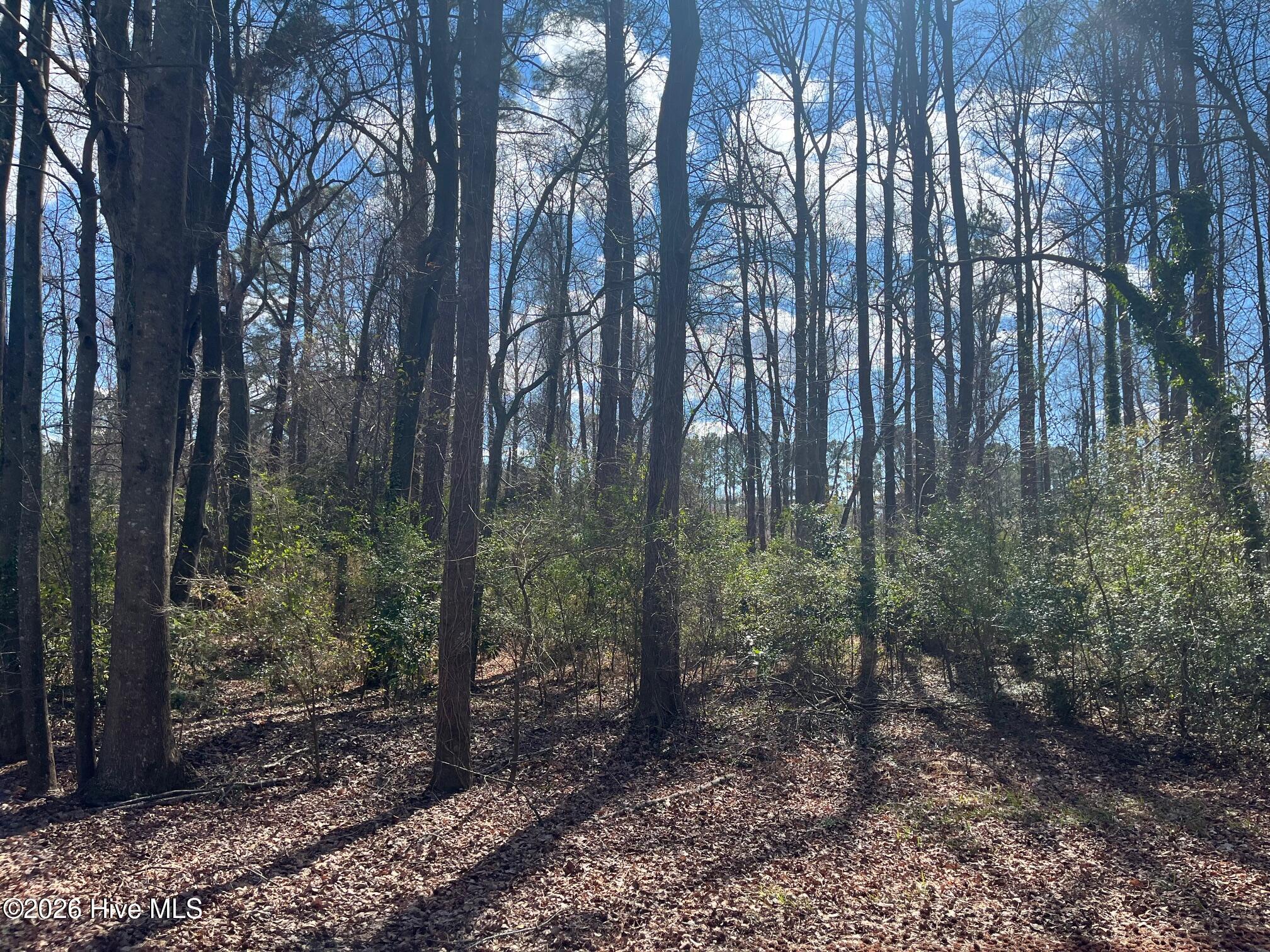 11 Brookwood Road Kinston, NC 28504 - Photo 1 of 4 IMG_0191