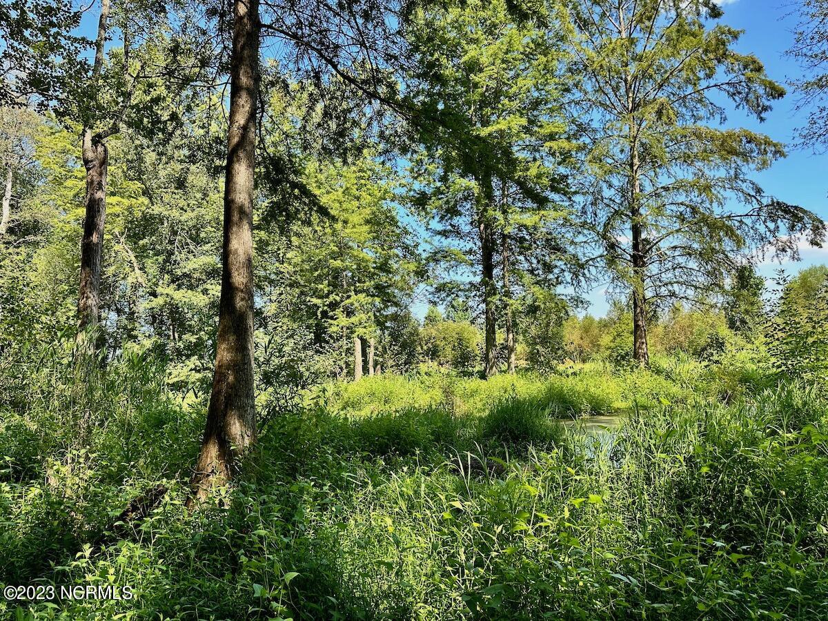 0 Hargraves Road Jackson, NC 27845 - Photo 21 of 50 20