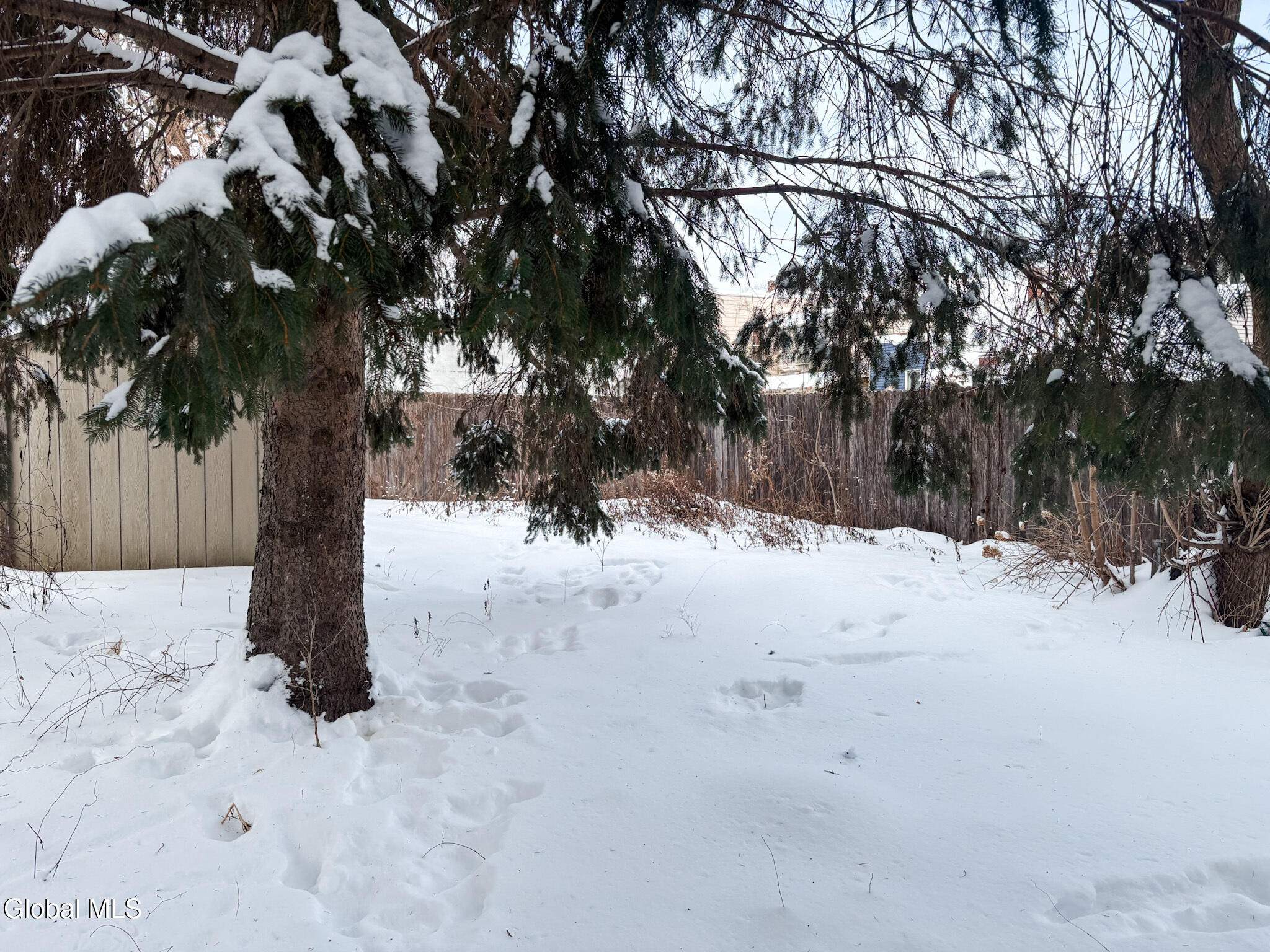 71 Quail Street Albany, NY 12206 - Photo 24 of 25 yard