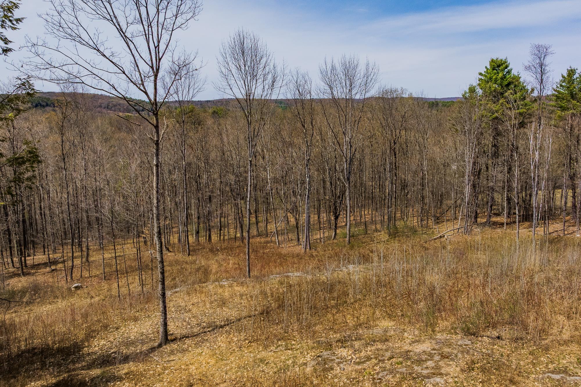 0 Olcott Road Norwich, VT 05055 - Photo 12 of 20