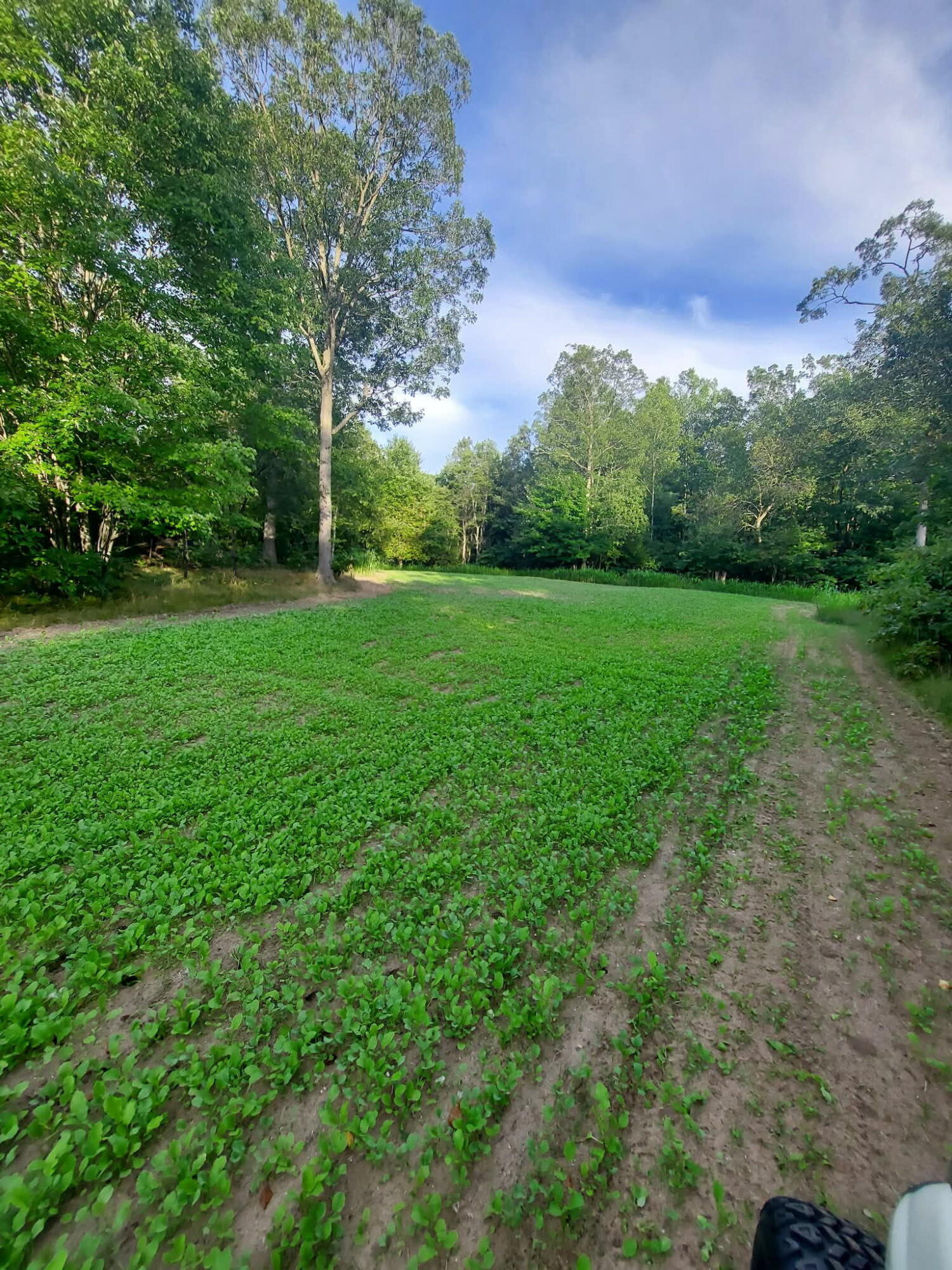 109 West McKinley Road Rothbury, MI 49452 - Photo 58 of 76 5774