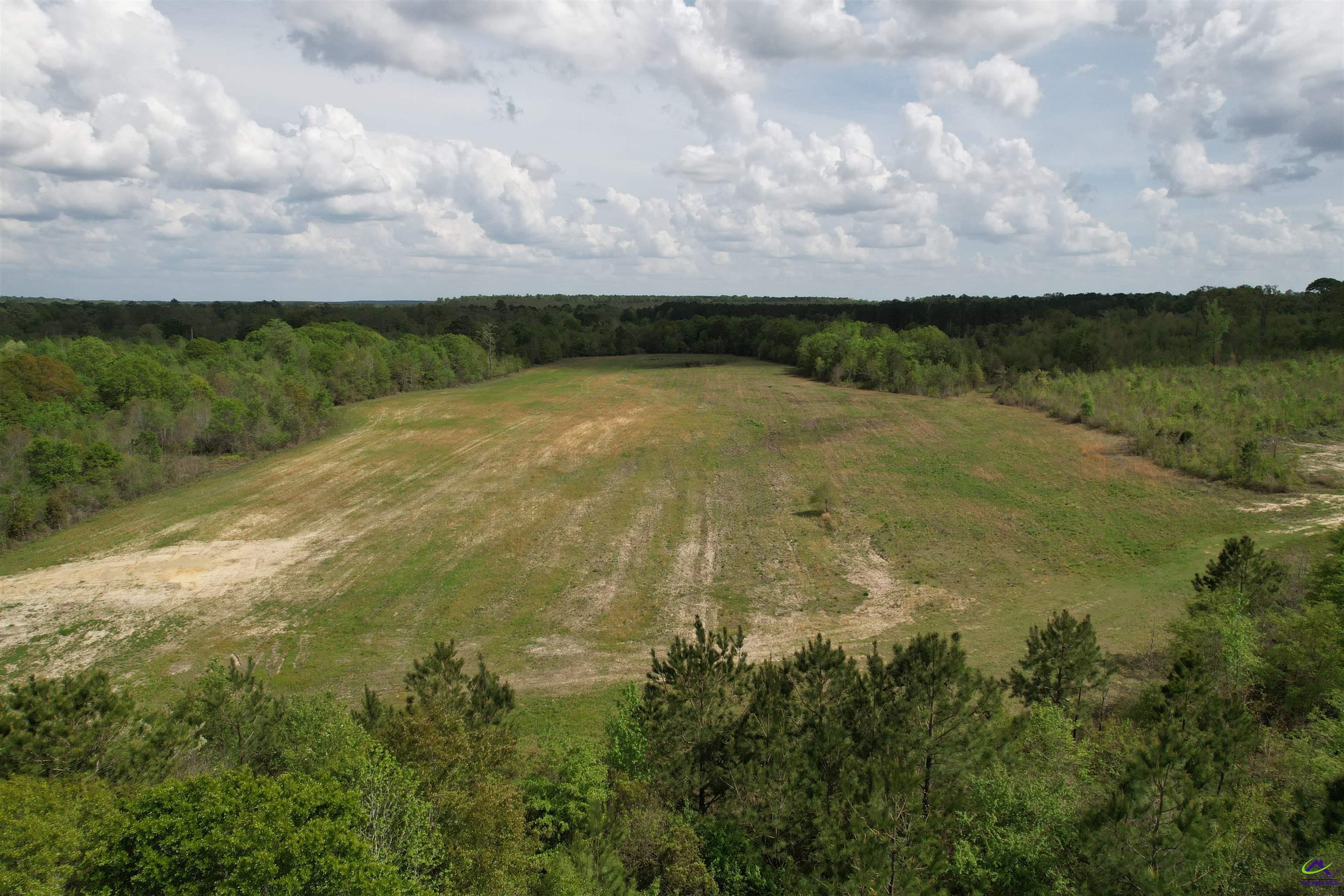 Bethel Church Road Eastman, GA 31023 - Photo 3 of 32