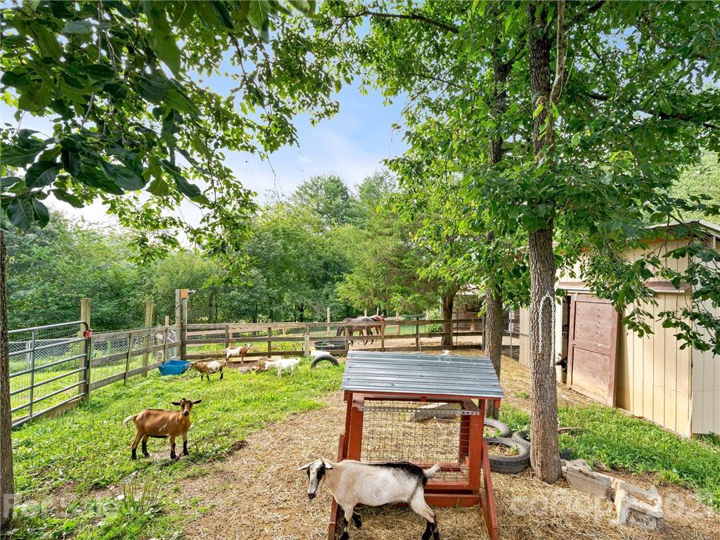 75 B B & B Stables Road Fairview, NC 28730 - Photo 28 of 33 Gallery Image 28