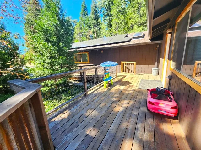 a view of a yard with plants and large trees