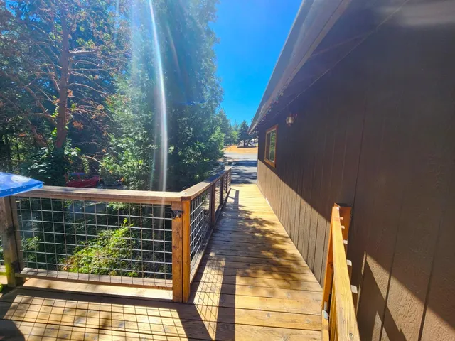a view of a yard with a trees