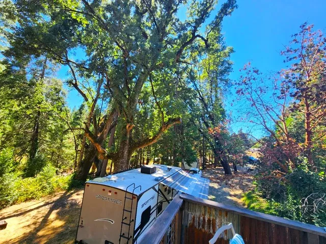 a view of an outdoor space and yard