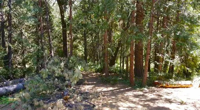 $390,000 | 22256 Valley View Court, Pine Grove, CA 95665