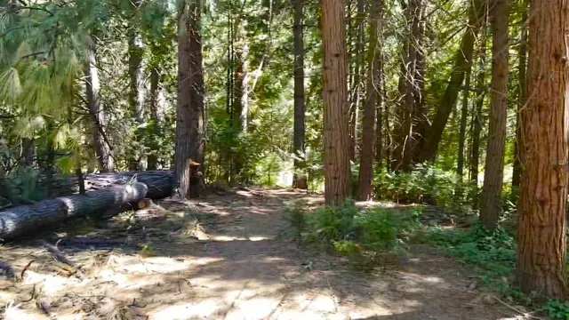 $390,000 | 22256 Valley View Court, Pine Grove, CA 95665