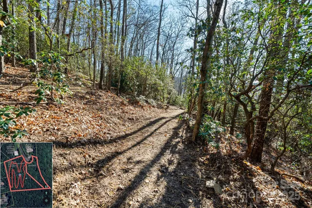 a view of a yard with tree