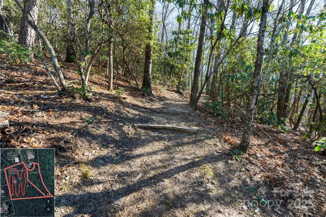 a backyard of a house with lots of trees