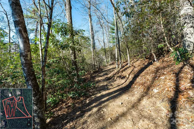a view of an outdoor space with a tree