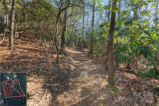 a backyard of a house with lots of trees