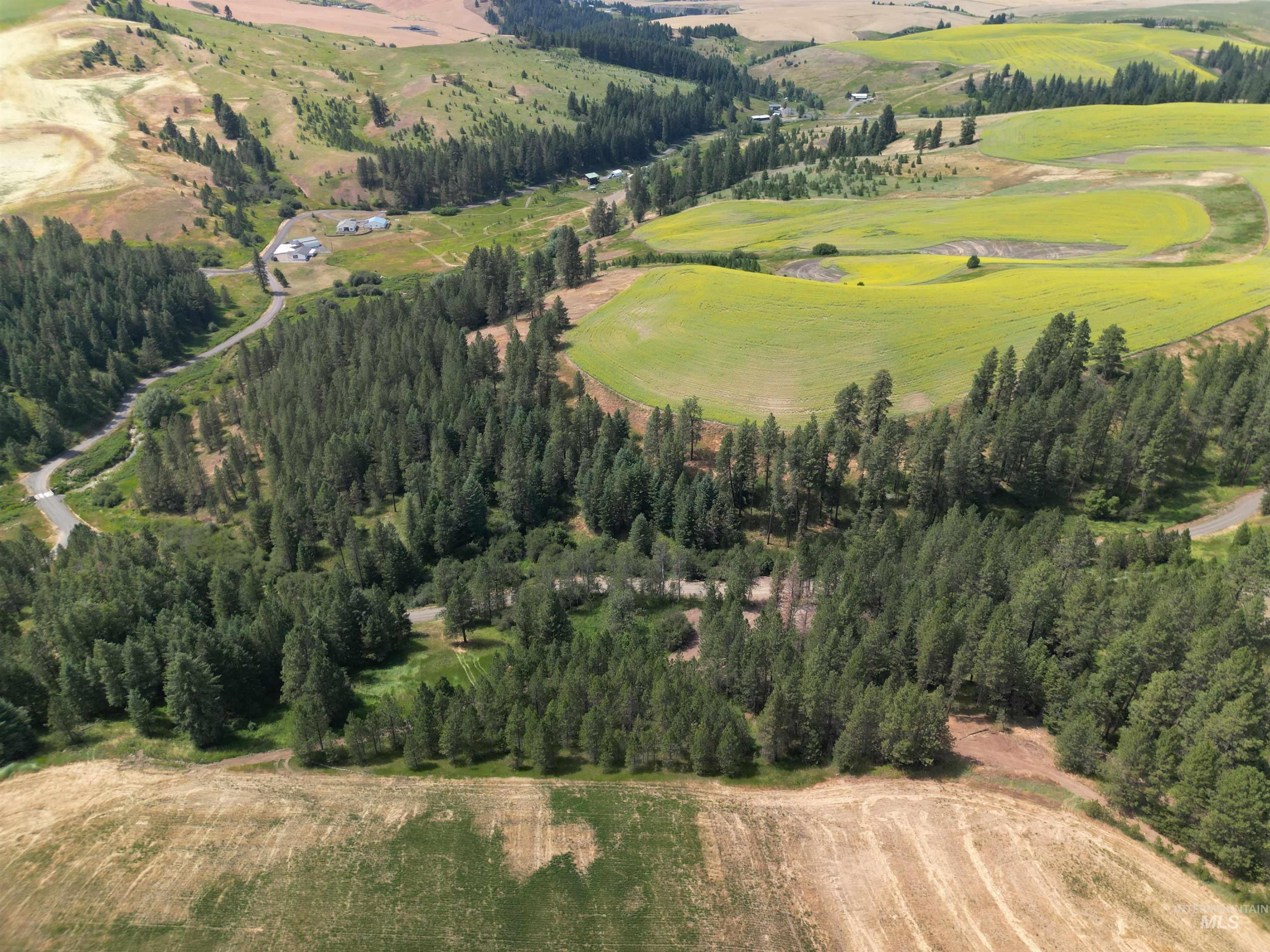 0 Parkins Road Troy, ID 83871 - Photo 19 of 33