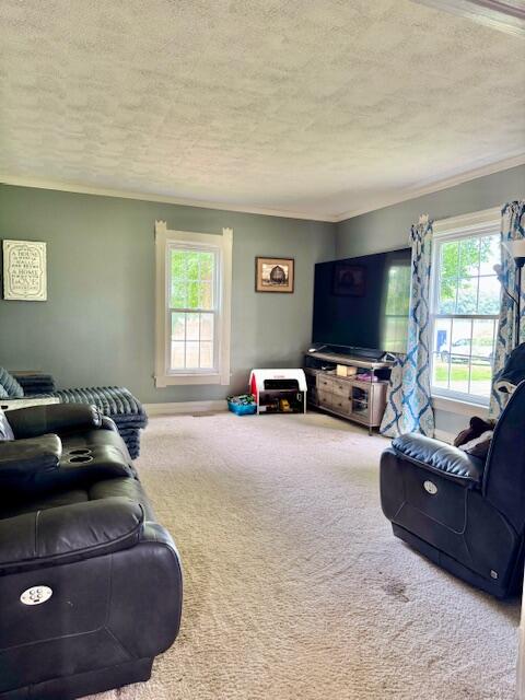 10035 Irish Road Vermontville, MI 49096 - Photo 26 of 53 56