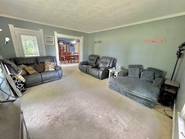 10035 Irish Road Vermontville, MI 49096 - Photo 27 of 53 51