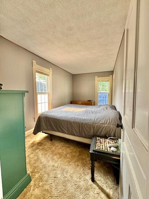 10035 Irish Road Vermontville, MI 49096 - Photo 28 of 53 6