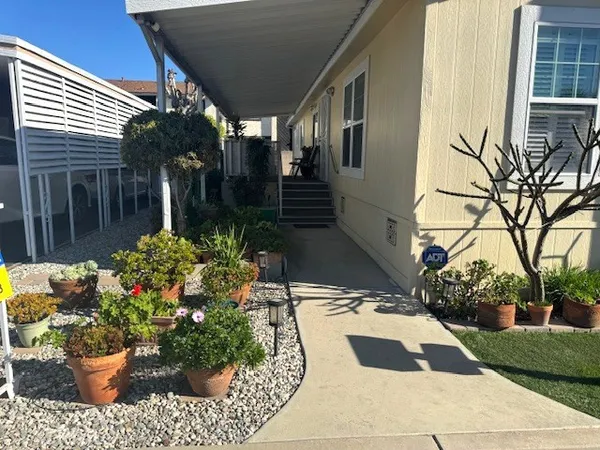 a view of a backyard with potted plants