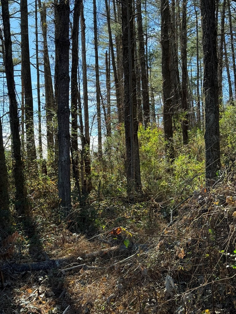 0 Airport Road Andrews, NC 28901 - Photo 8 of 12