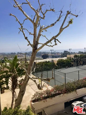 a view of a terrace with a bench