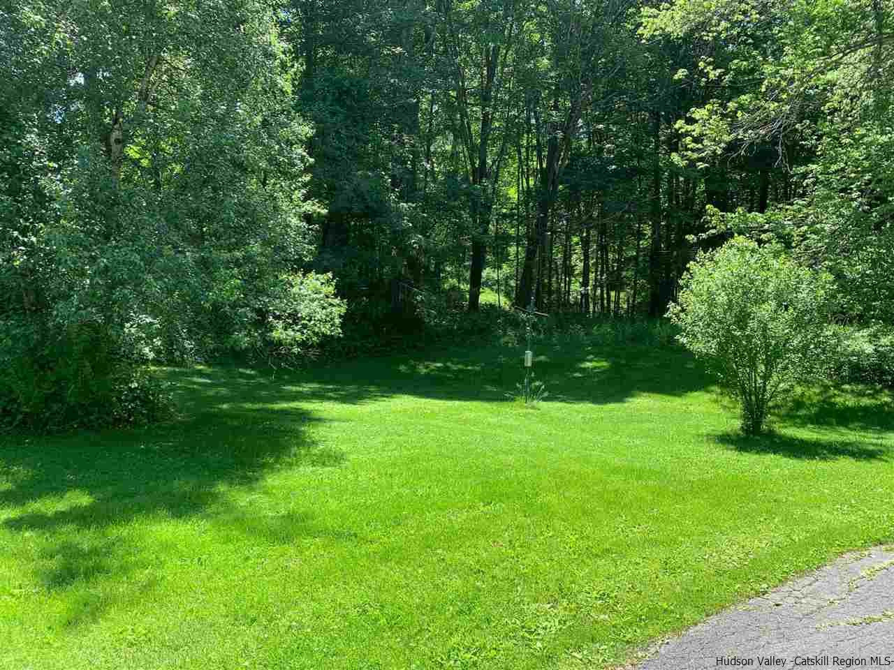 72 Union Center Road Ulster Park, NY 12487 - Photo 11 of 11 a view of a grassy field with trees in the background