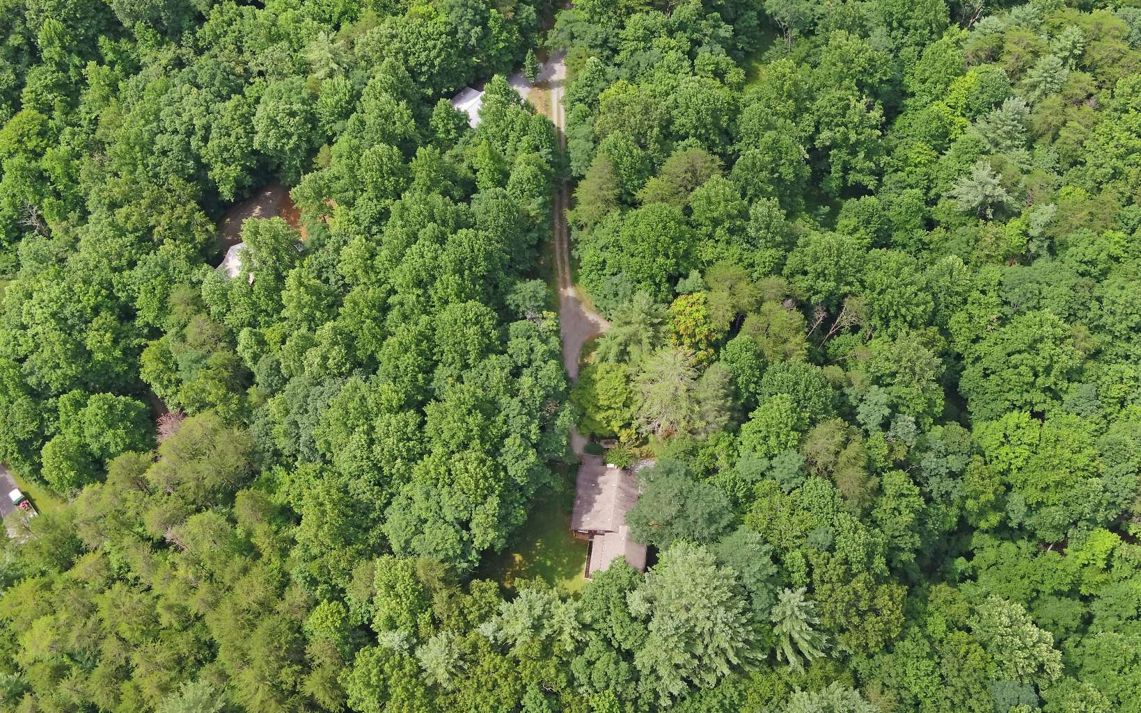 263 Lakeview Drive Blue Ridge, GA 30513 - Photo 46 of 49 Additional View