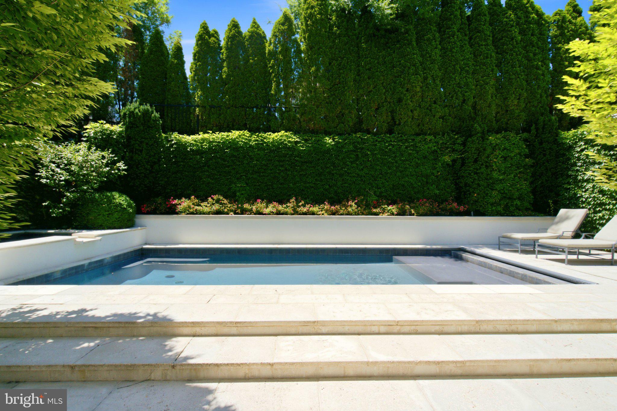 2109 Dunmore Lane Washington, DC 20007 - Photo 18 of 78 Serene oasis with lush greenery.
