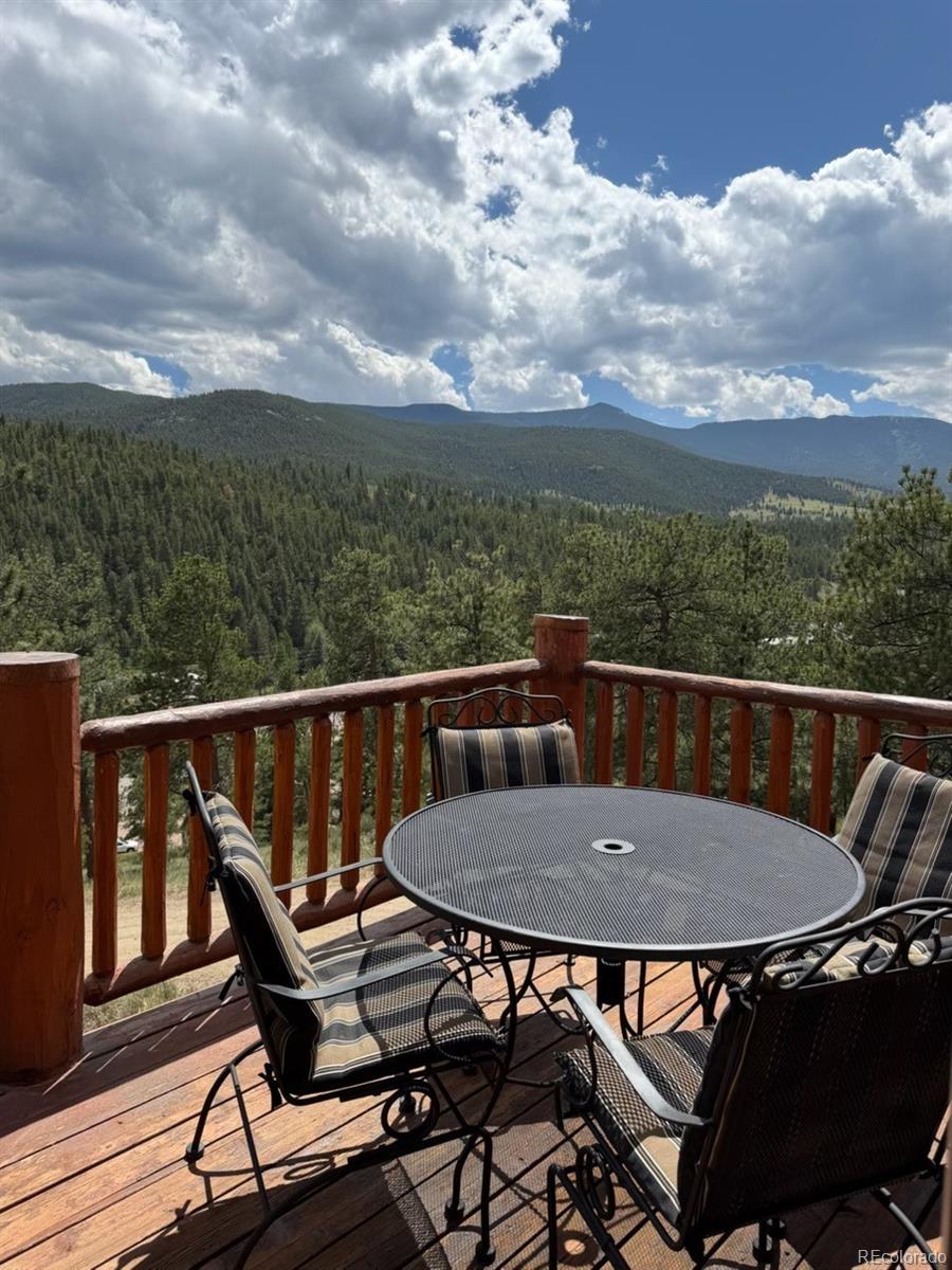 303 Virginia Road, Unit E Bailey, CO 80421 - Photo 27 of 27