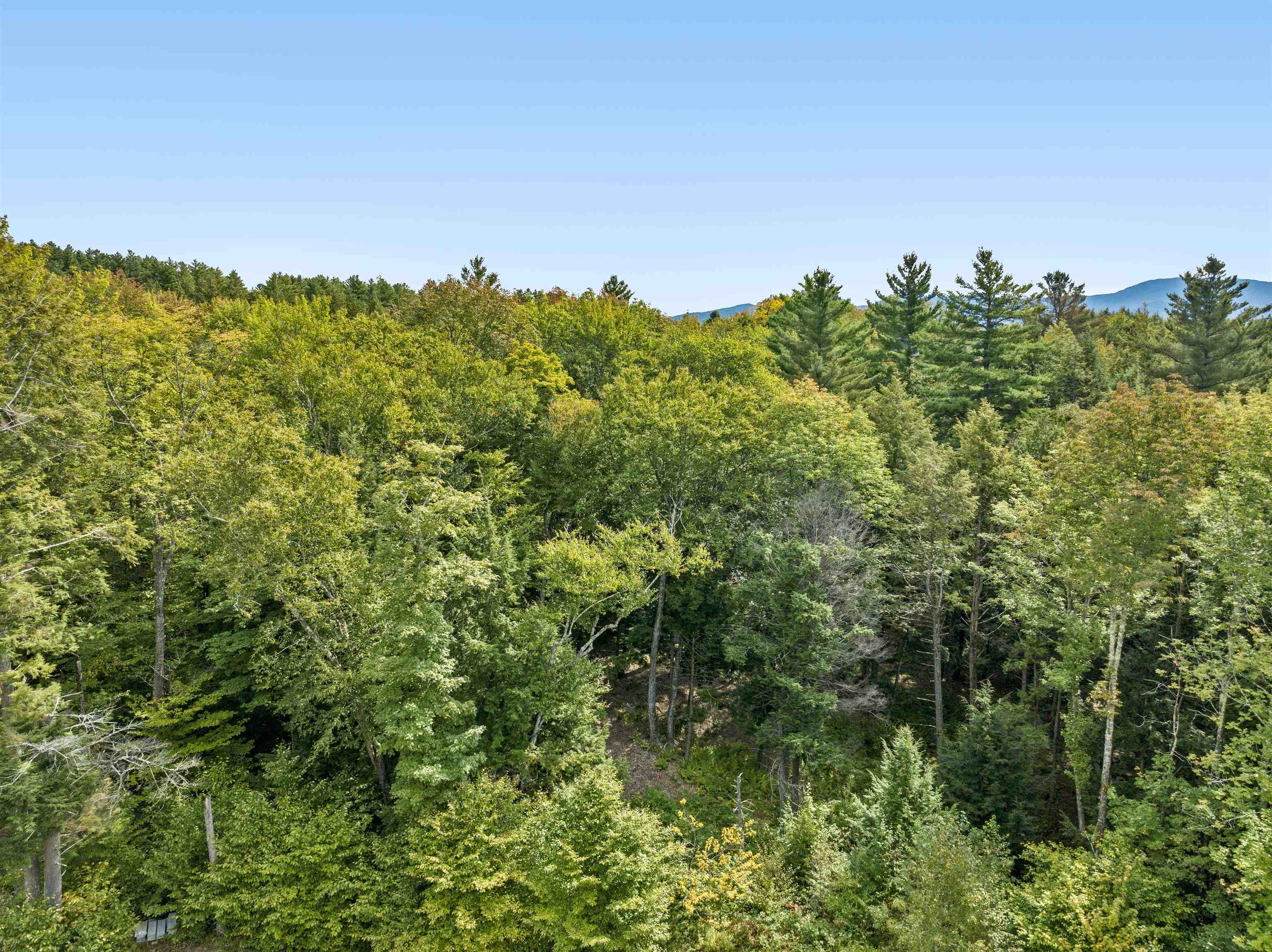 Tbd Grey Birch Road, Unit 15 Stowe, VT 05672 - Photo 12 of 38 Gallery Image 12