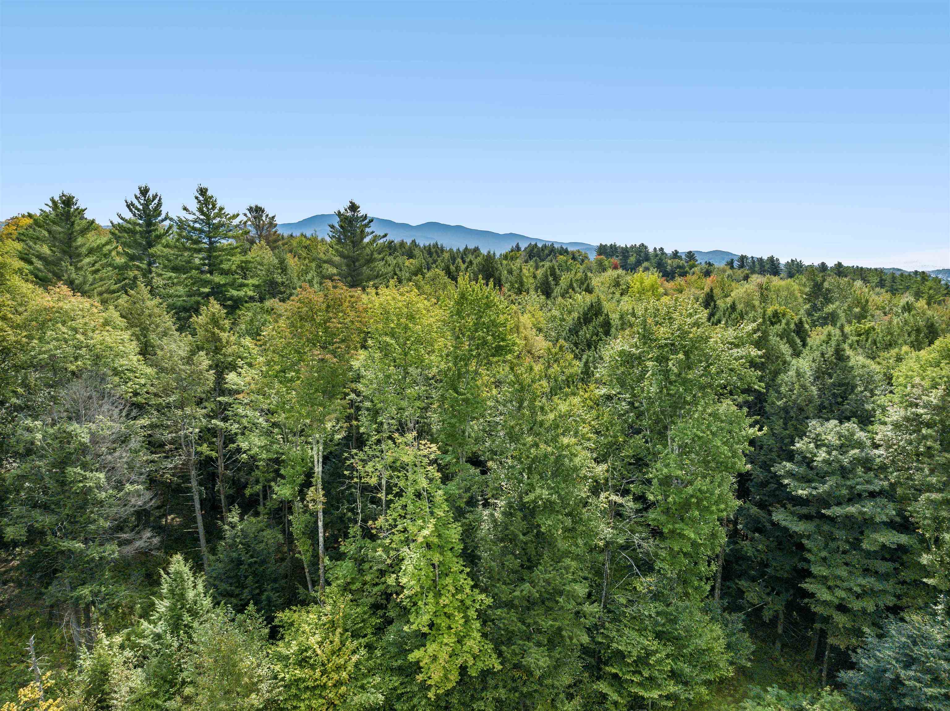 Tbd Grey Birch Road, Unit 15 Stowe, VT 05672 - Photo 14 of 38 Gallery Image 14