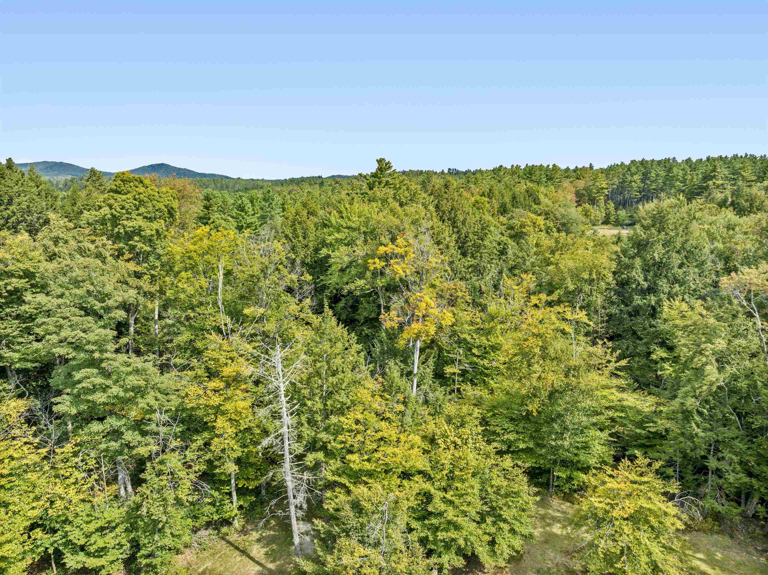 Tbd Grey Birch Road, Unit 15 Stowe, VT 05672 - Photo 32 of 38 Gallery Image 32