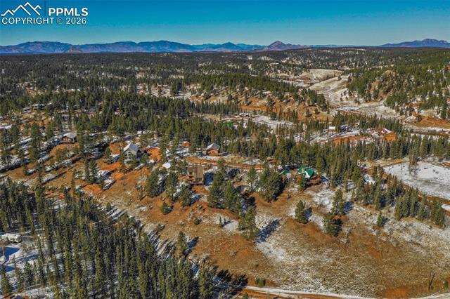 170 Ridge Road Divide, CO 80814 - Photo 46 of 50 Gallery Image 46