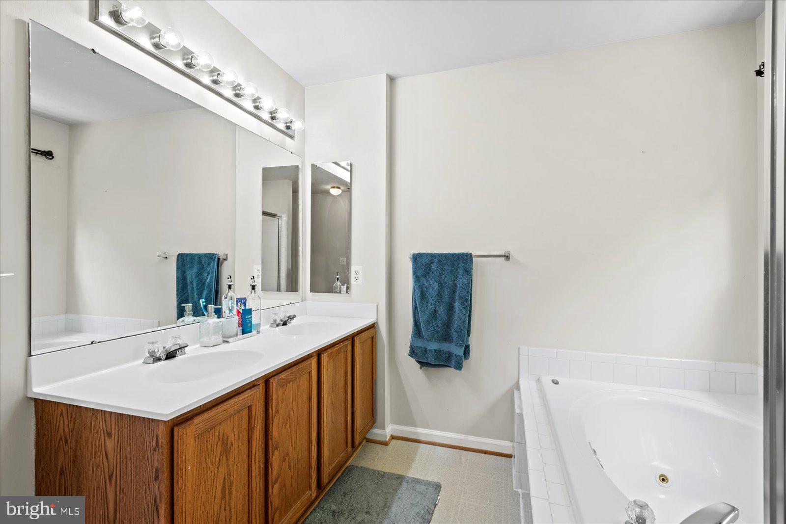 15761 Viewpoint Circle Dumfries, VA 22025 - Photo 18 of 47 primary bath