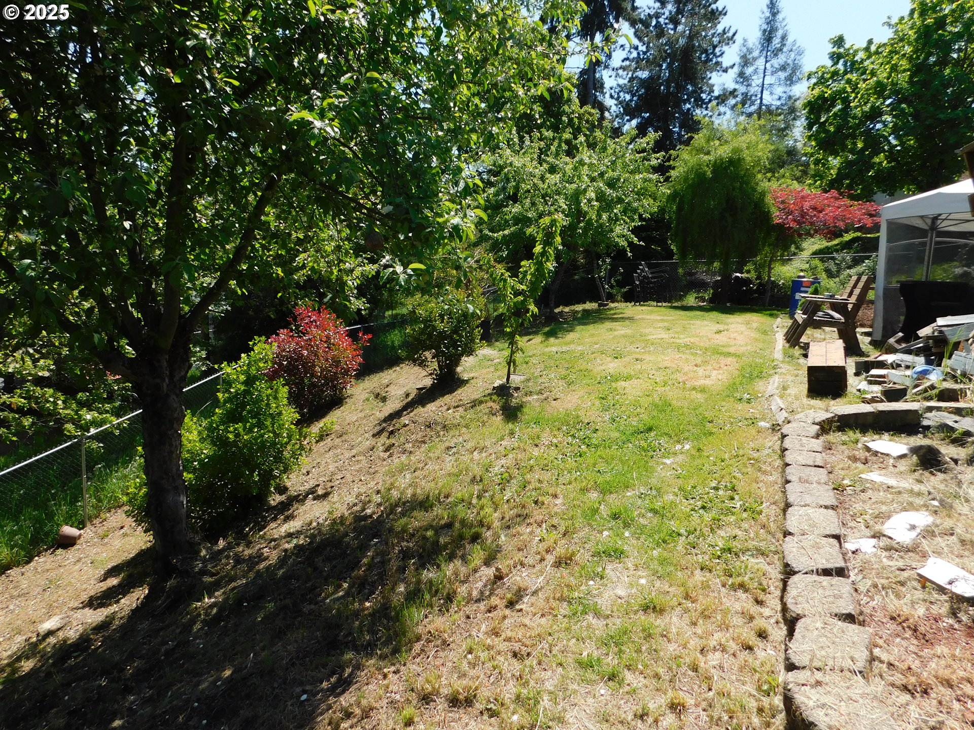 231 Northeast Darrell Avenue Winston, OR 97496 - Photo 44 of 47 a view of backyard with seating area and trees