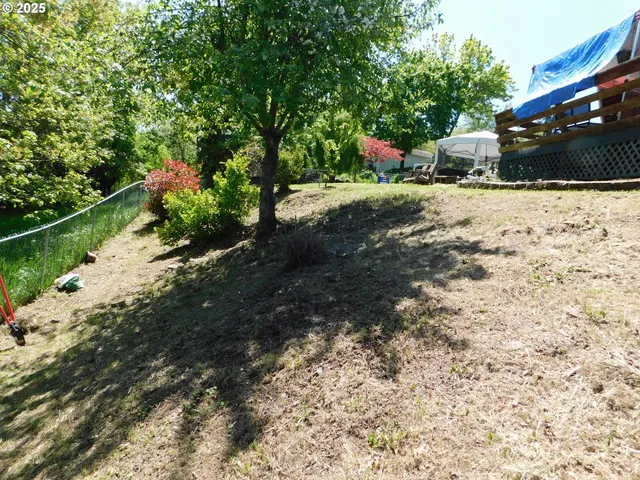 a view of a yard with a tree