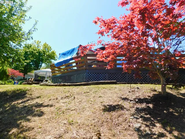 a view of a backyard with a bench and some trees