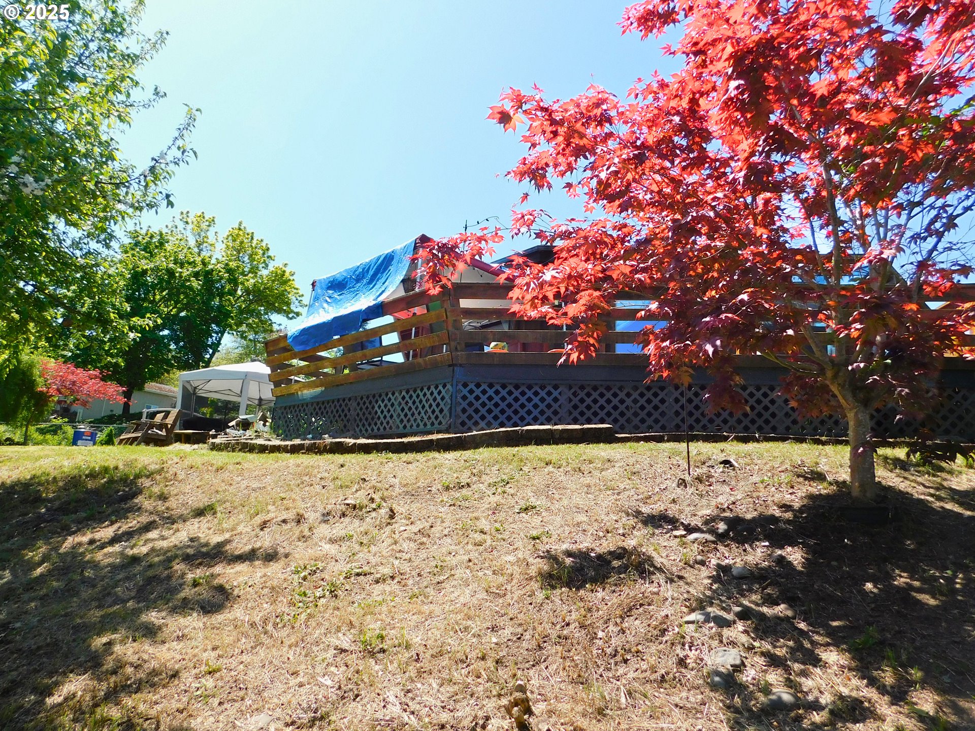 231 Northeast Darrell Avenue Winston, OR 97496 - Photo 46 of 47 a view of a yard with a tree